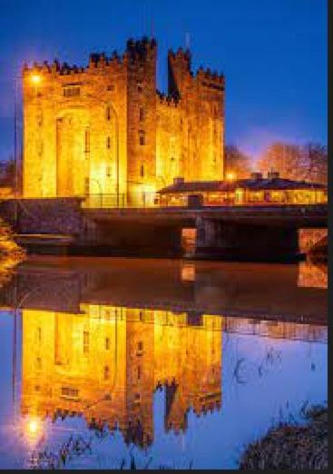 Bunratty Castle Gardens Villa Luaran gambar